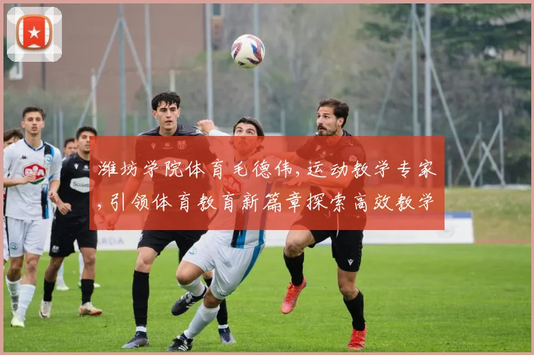 潍坊学院体育毛德伟,运动教学专家,引领体育教育新篇章探索高效教学方法