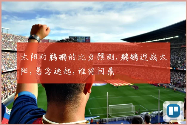 太阳对鹈鹕的比分预测,鹈鹕迎战太阳,悬念迭起,谁将问鼎